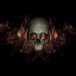 Meet your Posher, Connor